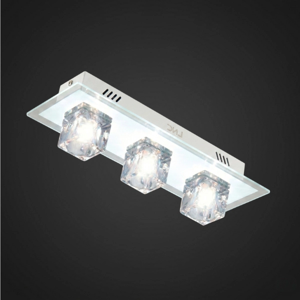 Ceiling Lamp