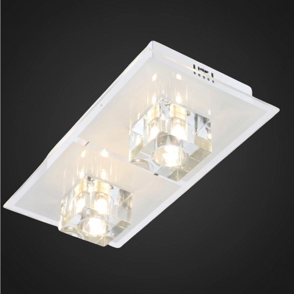 Ceiling Lamp
